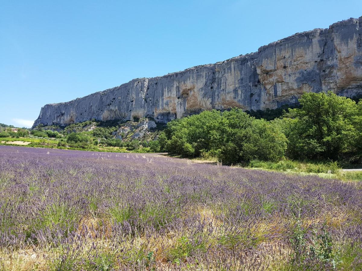 הוילה Malaucène Grenache מראה חיצוני תמונה